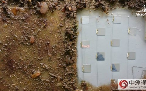 阿克苏诺贝尔再创行业先河，开发基于UV-LED技术的船舶防污解决方案