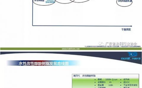 同德化工集团应用技术总监盛洪：水性工业漆应用技术与突破