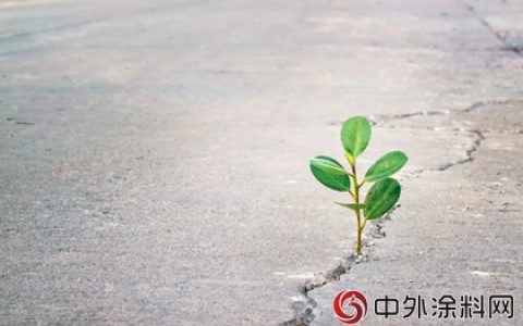 东方雨虹李卫国：致力于打造一个让奋斗者逆袭的平台"
128047"