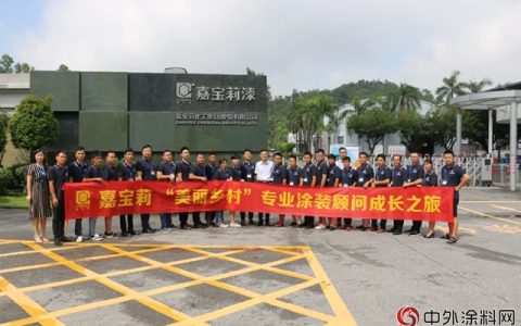 嘿！我的嘉宝莉“美丽乡村”涂装顾问成长记