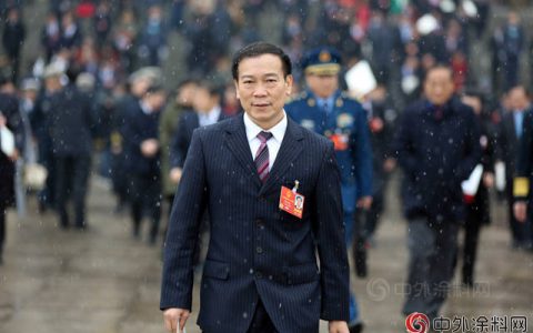 真正的中国涂料年度风云人物是他(二)