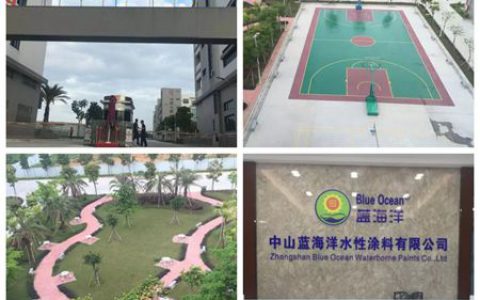 中山市三角镇李宗镇长一行莅临蓝海洋公司指导