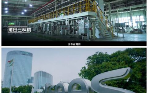 三棵树最新企业宣传片正式发布