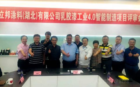 立邦湖北乳胶漆工业4.0智能制造项目评审会圆满成功