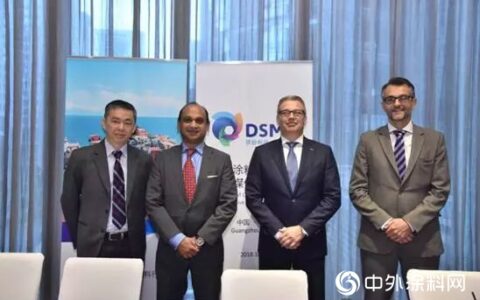 帝斯曼对中国涂料市场态度乐观积极