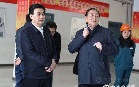 河南省政府副省长何金平一行莅临龙佰集团调研和观摩