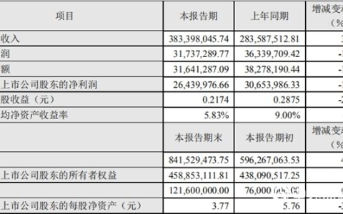 营收同比猛增35.20% 飞鹿股份2018年不平凡