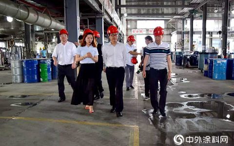 顺德区委常委冼阳福带领督导组到华隆涂料进行安全检查工作