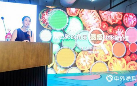 宣伟华润蔡晓燕：色彩营销成为企业战略，涂料才是背后“魔术师”！