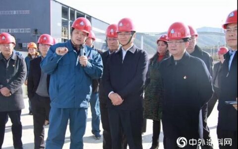 云南省副省长董华一行莅临新立钛业考察调研