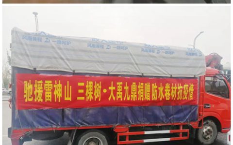 共同战“疫”，三棵树大禹九鼎防水在行动！"
137374"