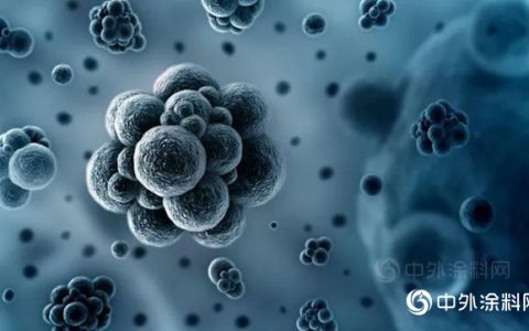 涂料抗毒秘方五花八门：龙有龙道，鼠有鼠方丨抗病毒系列2