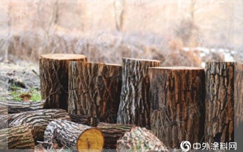 嘉宝莉家具漆：实木家具的“长寿”秘诀，木材含水率是关键”
138414″