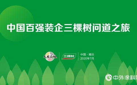 协同发展 共赢未来——中国百强装企三棵树问道之旅