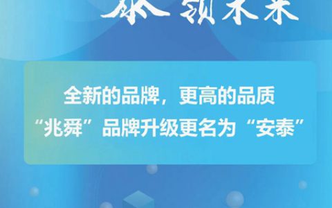 安泰电子胶迎佛山照明考察