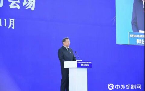 四川省2020年第四季度重大项目集中开工 攀枝花分会场在龙佰集团攀枝花公司举行