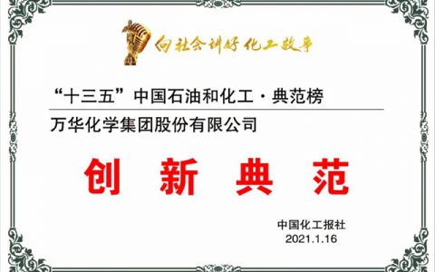 万华化学获评“十三五”中国石油和化工行业创新典范
