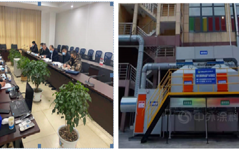 武汉市生态环境局领导视察和指导双虎涂料安环工作