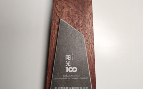 东方雨虹获评阳光壹佰“2020年度优秀合作伙伴”
