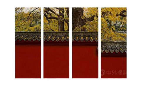 新年「红」起来