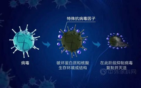 立邦持续升级工业卷材涂料抗病毒性能