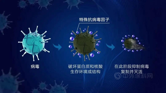 立邦持续升级工业卷材涂料抗病毒性能