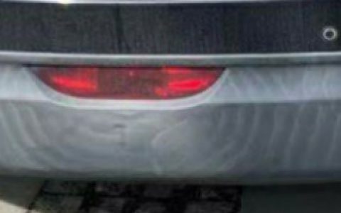 高颜值时代，向虎皮纹说不