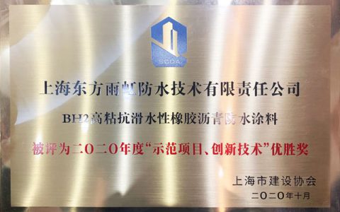 东方雨虹(ORIENTAL YUHONG)荣获2020年度“示范项目、创新技术”奖