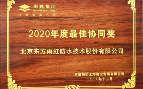 东方雨虹(ORIENTAL YUHONG)荣获卓越集团"2020年度最佳协同奖”