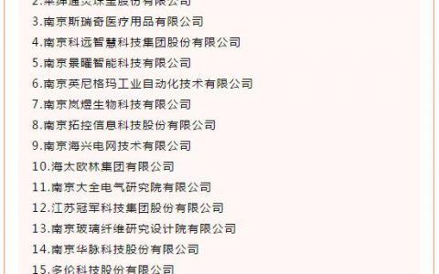 冠军集团入选工信部2020工业企业知识产权运用试点企业