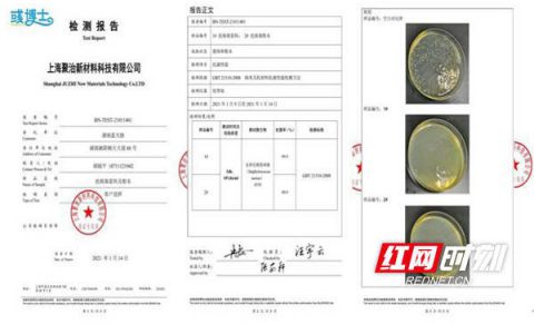蓝天豚抗菌涂料抽检抗菌率99.9％ 高科技健康住宅产品成风口
