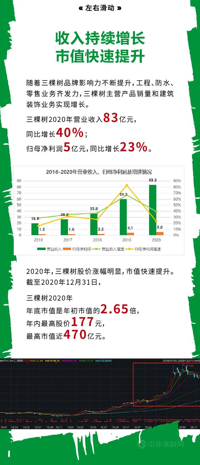 2020年三棵树的24个高光时刻