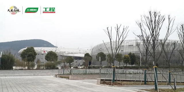 一筑一风景丨三棵树再造标杆工程——枣庄市体育中心