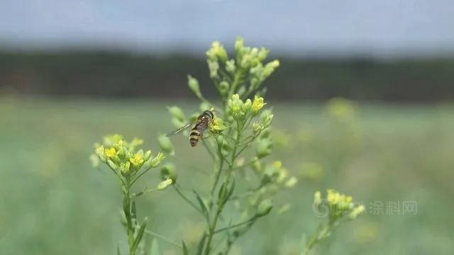 德爱威用实力助力绿色可持续发展