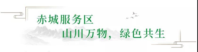 绿色冬奥，美丽中国——三棵树助力延崇高速项目圆满完成
