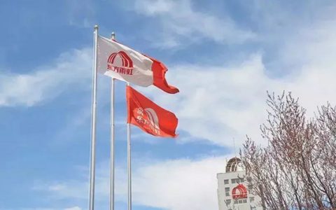 一年赚个嘉宝莉！东方雨虹2020年净赚33.98亿元