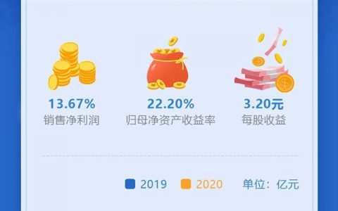 万华化学2020年可视化年报