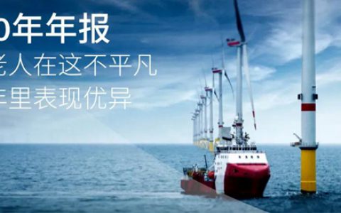 2020年年报：海虹老人在这不平凡的一年里表现优异，并根据新战略宣布了第一笔收购