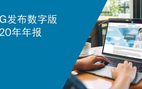 PPG 发布数字版2020年年报