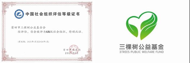三棵树公益基金会荣获中国社会组织评估4A级荣誉称号