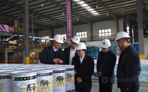 北京市大兴区政务领导一行考察德爱威岳阳工厂靓缝剂项目