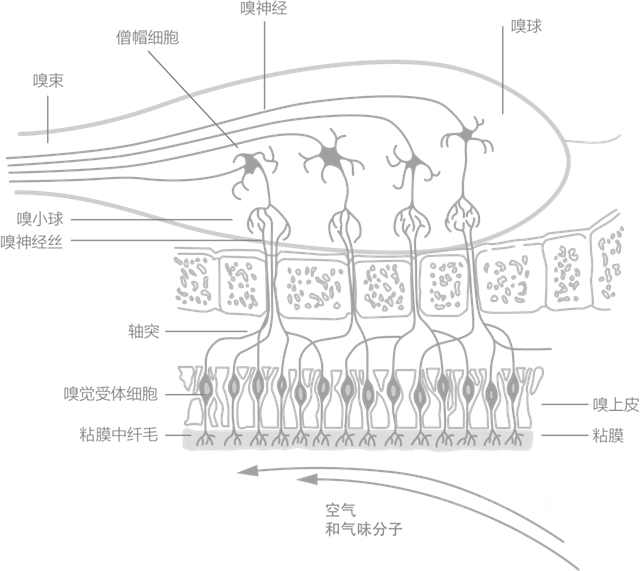 华润涂料创立30周年！环保创新举措发布，盛大庆典好戏连台