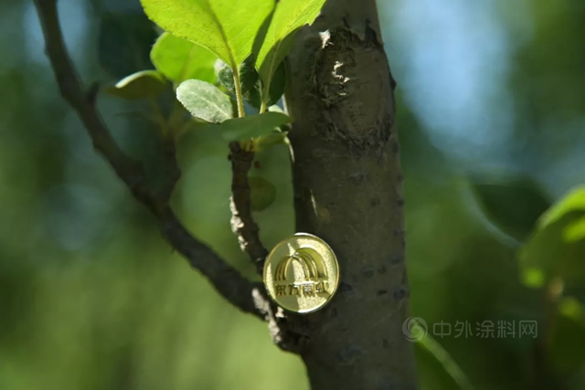 看，生长在东方雨虹楼顶的“碳中和”