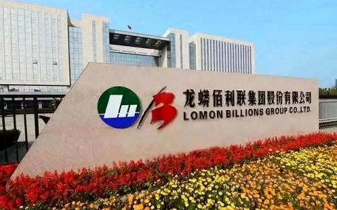 大手笔｜斥资4.5亿元！龙蟒佰利一天内收购两家公司