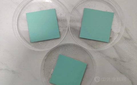 海化院检测中心首次完成耐霉菌实验