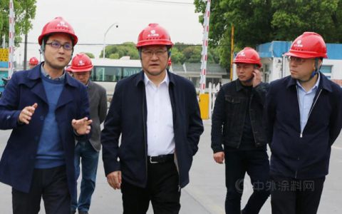 苏州市领导走访吉人高新