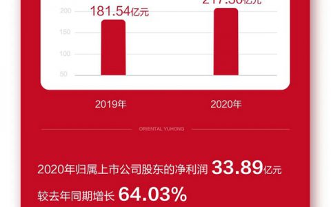 东方雨虹2020年报：营收217.30亿元，归母净利润33.89亿元