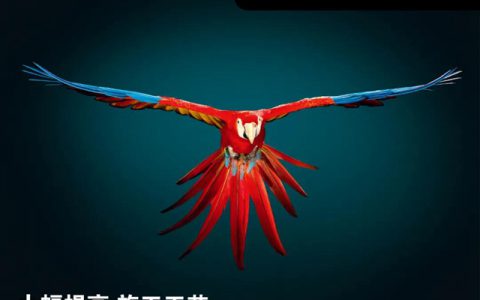 【巴斯夫】鹦鹉100系列，更环保更高效的水性汽车修补漆系列