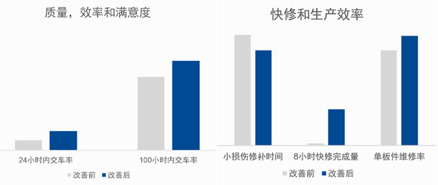 鹦鹉，宝马ColorSystem原厂水性漆的好伙伴