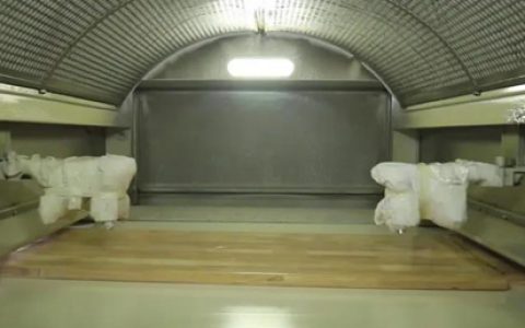 蓬江牌LED UV光固化家具漆